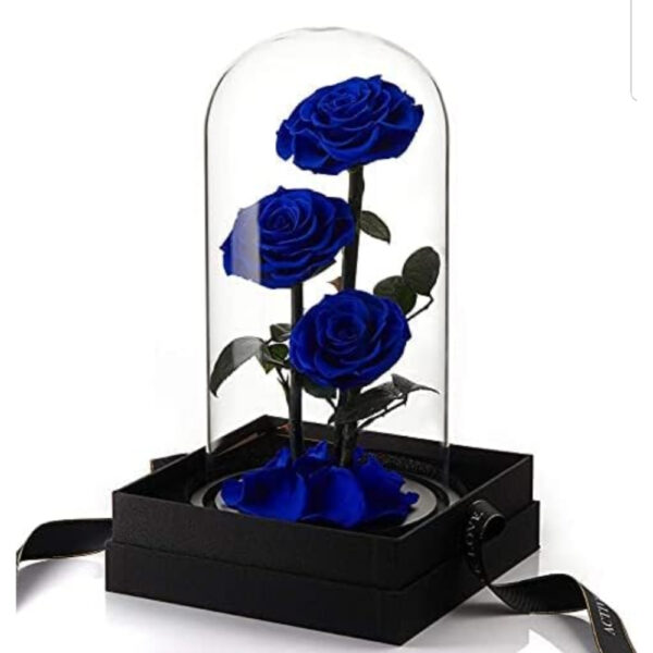 Preserved Flowers In Trio Blue Rose