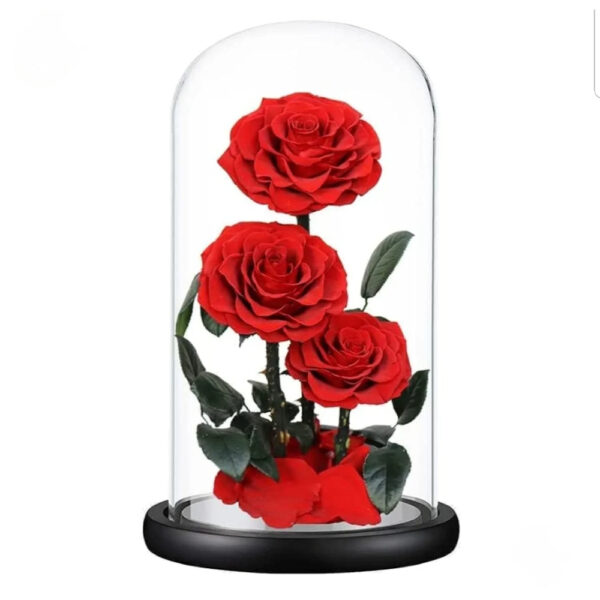 Preserved Flowers In Trio Red Rose